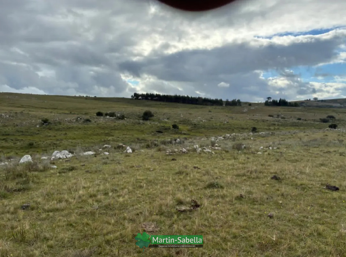 Campo Ref.512/Campo-en-Venta--Lavalleja- - Campo en Venta - Lavalleja 