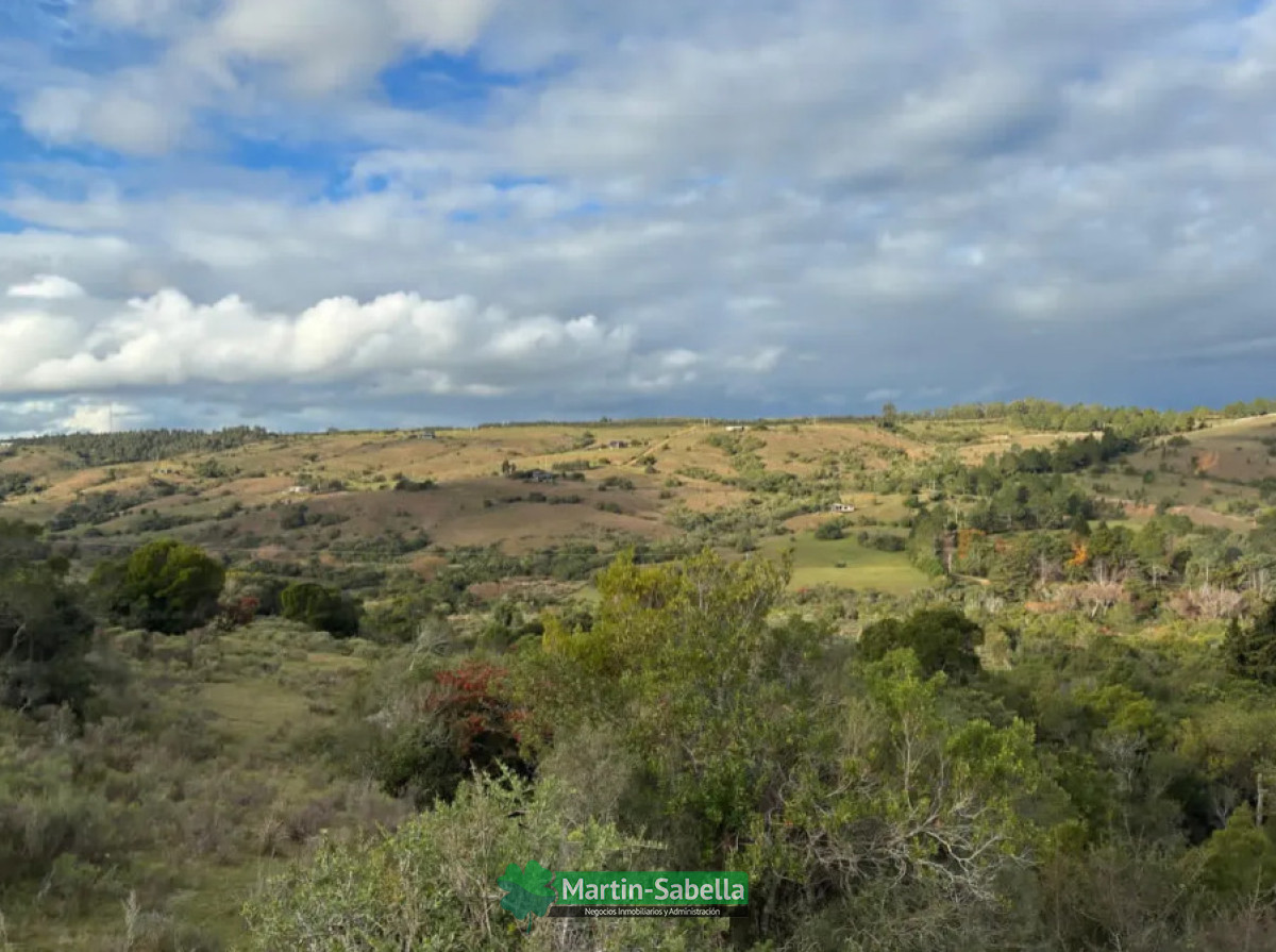 Campo Ref.512/Campo-en-Venta--Lavalleja- - Campo en Venta - Lavalleja 
