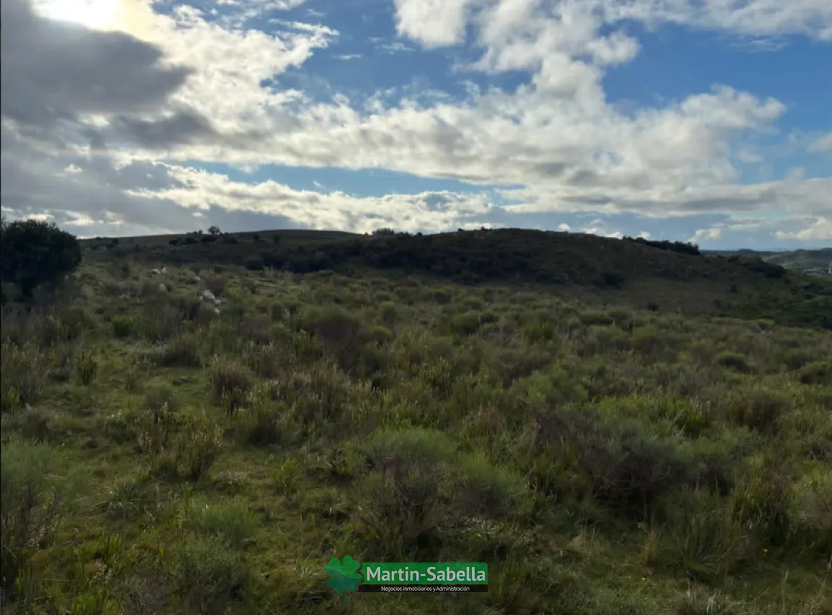 Campo Ref.512/Campo-en-Venta--Lavalleja- - Campo en Venta - Lavalleja 
