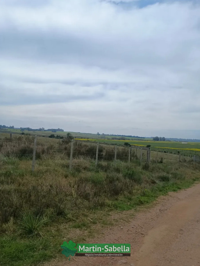 Campo Ref.633/Campos-en-Venta-Atlántida-Canelones- - Campos en Venta Atlántida Canelones 