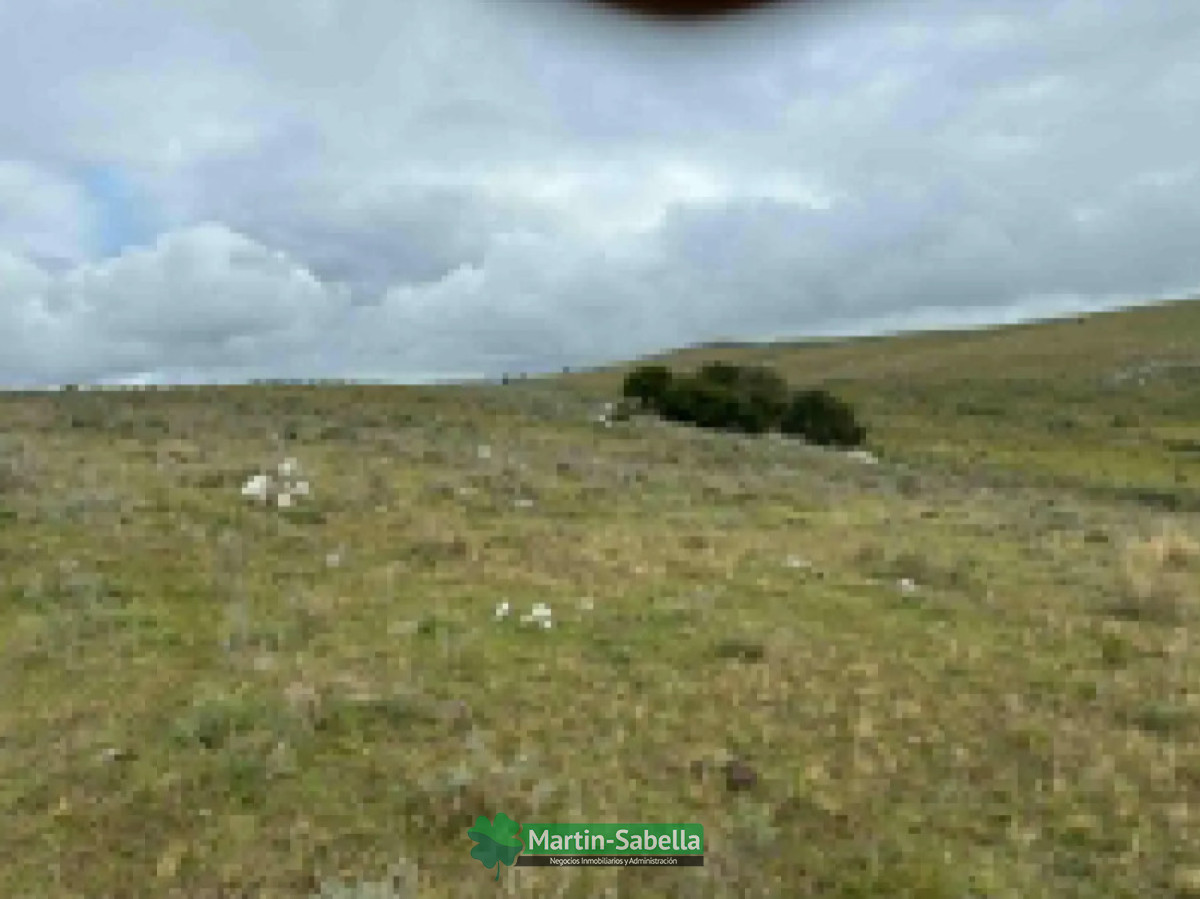 Campo Ref.512/Campo-en-Venta--Lavalleja- - Campo en Venta - Lavalleja 