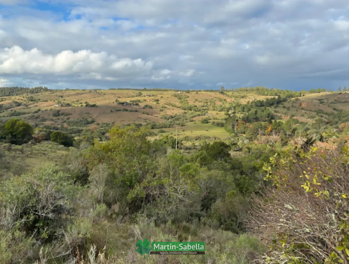 Campo Ref.513/Campo-en-Venta--Maldonado- - Campo en Venta - Maldonado 