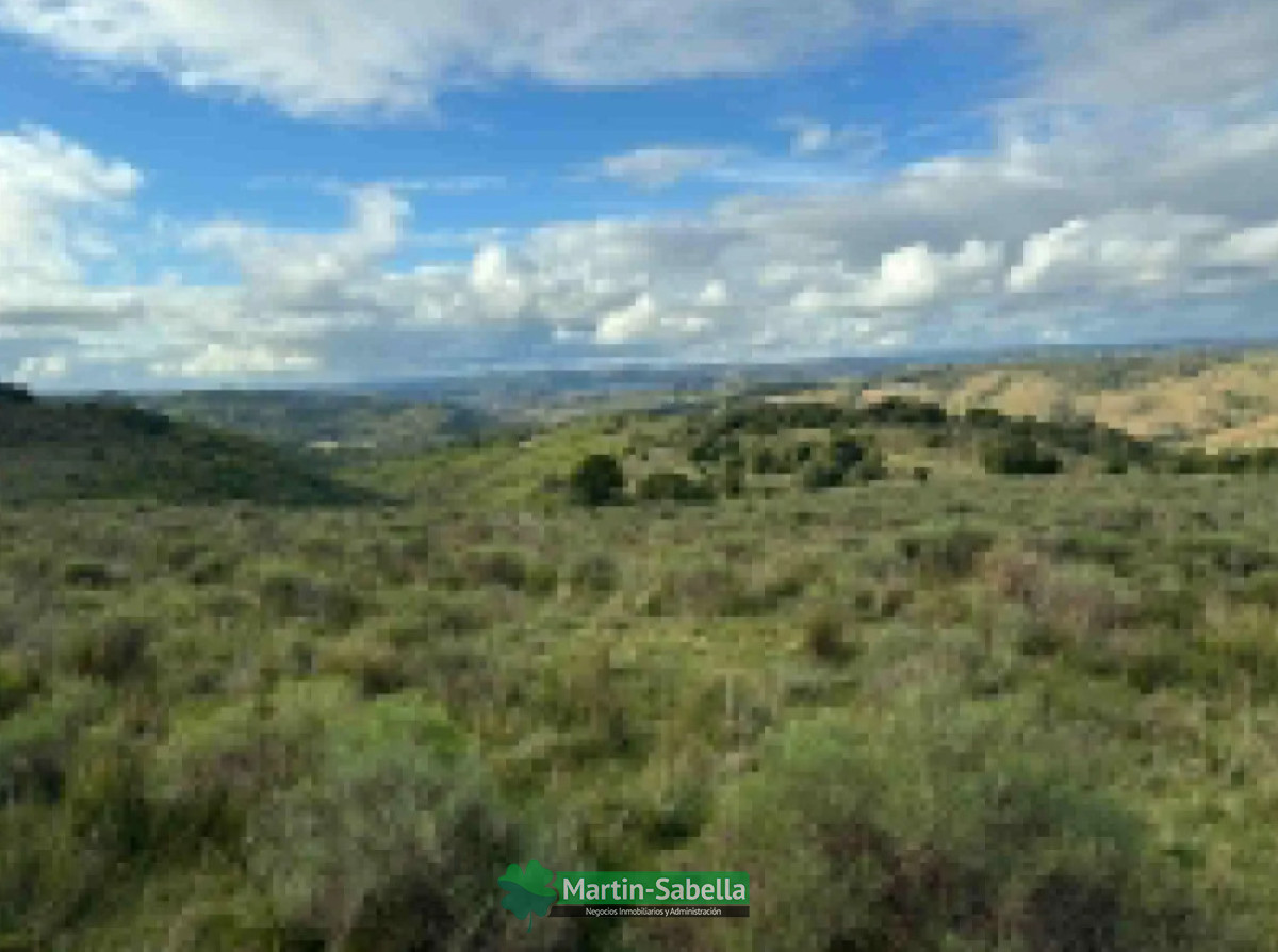 Campo Ref.513/Campo-en-Venta--Maldonado- - Campo en Venta - Maldonado 