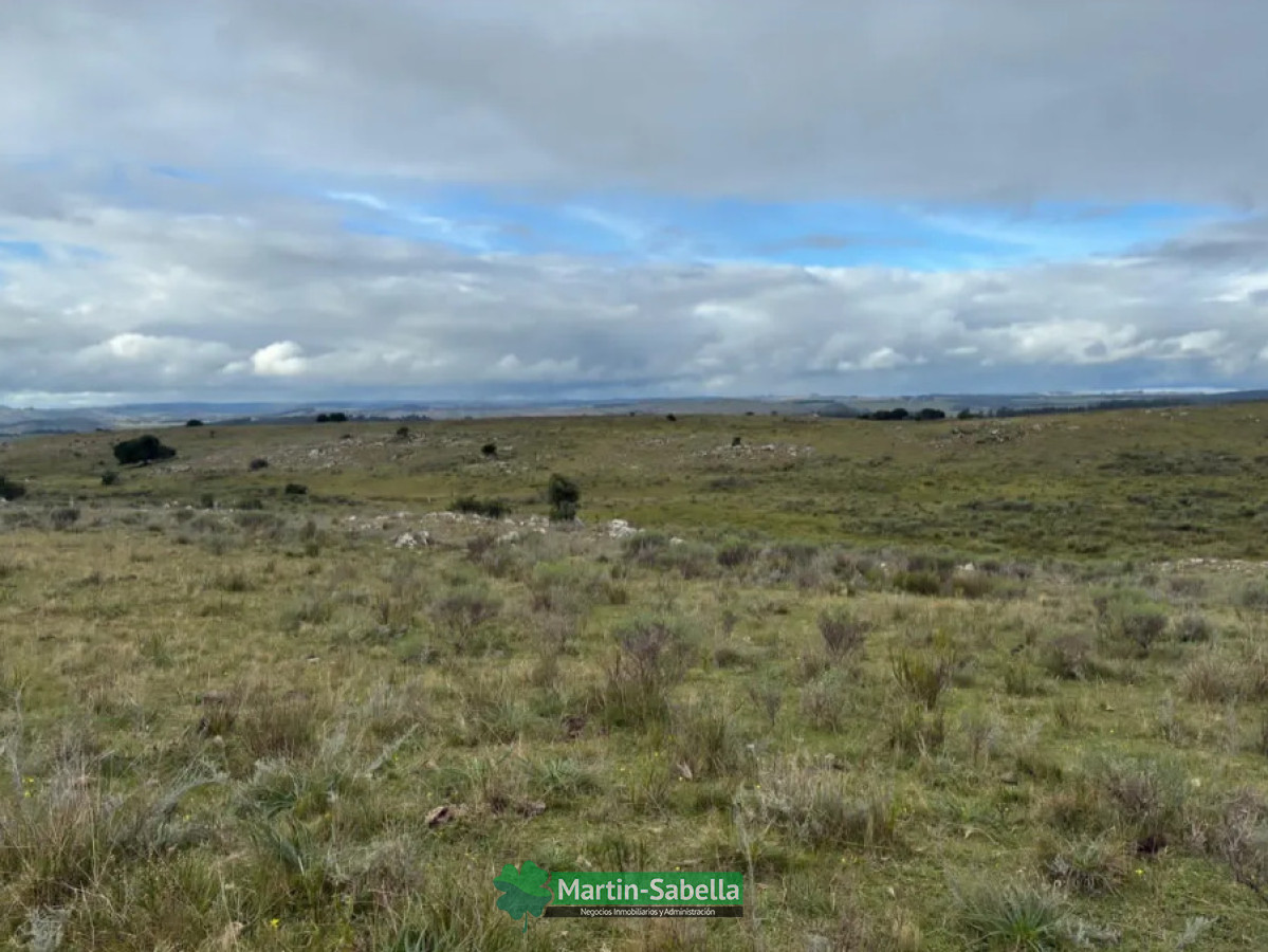 Campo Ref.512/Campo-en-Venta--Lavalleja- - Campo en Venta - Lavalleja 