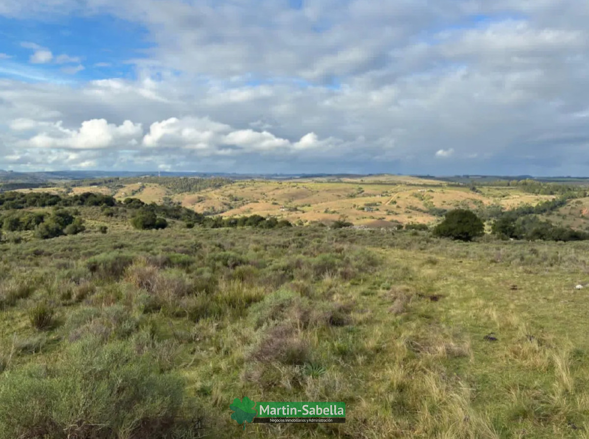 Campo Ref.512/Campo-en-Venta--Lavalleja- - Campo en Venta - Lavalleja 