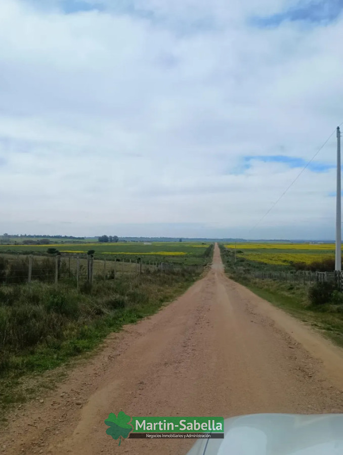 Campo Ref.633/Campos-en-Venta-Atlántida-Canelones- - Campos en Venta Atlántida Canelones 