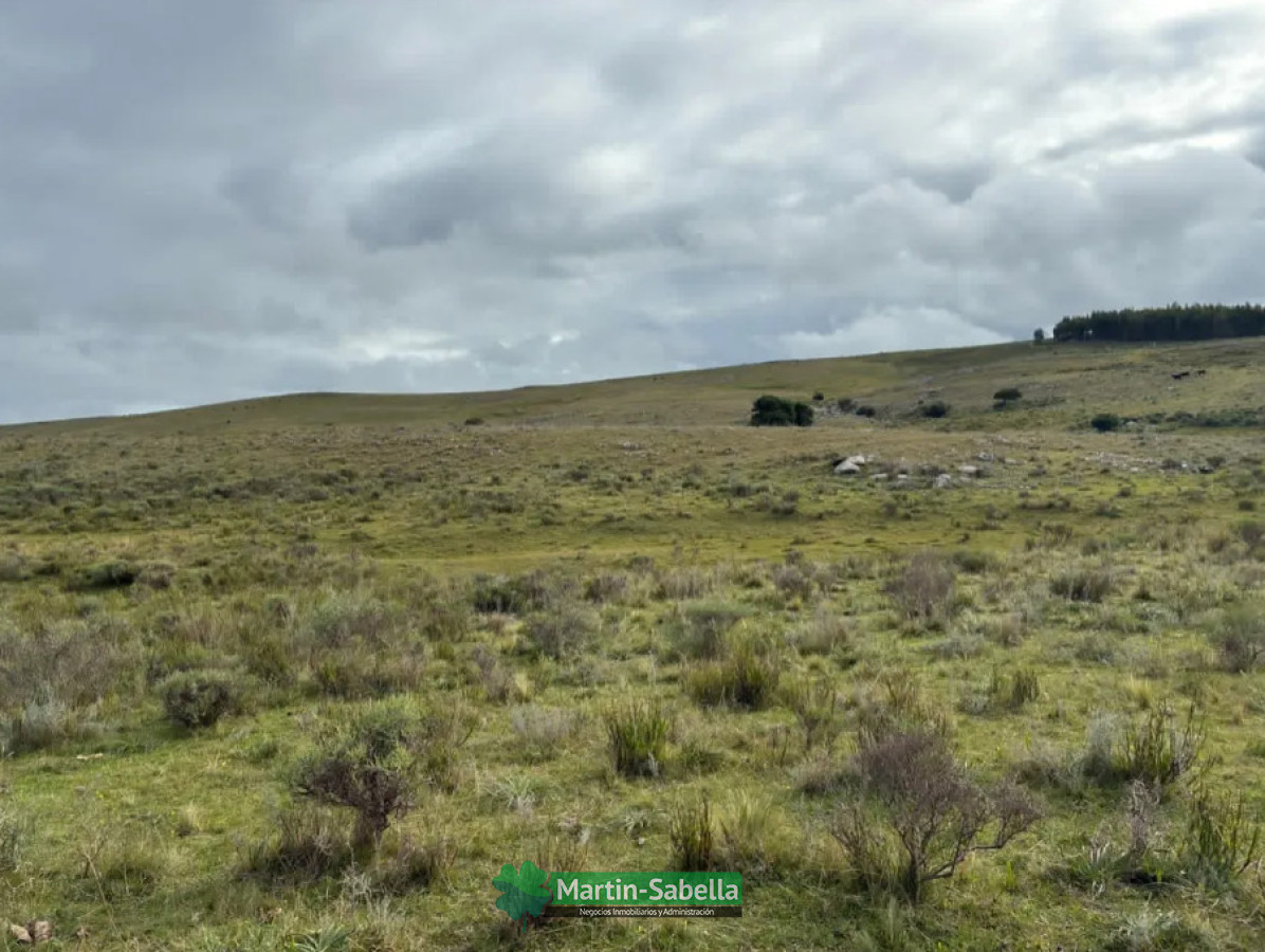 Campo Ref.512/Campo-en-Venta--Lavalleja- - Campo en Venta - Lavalleja 