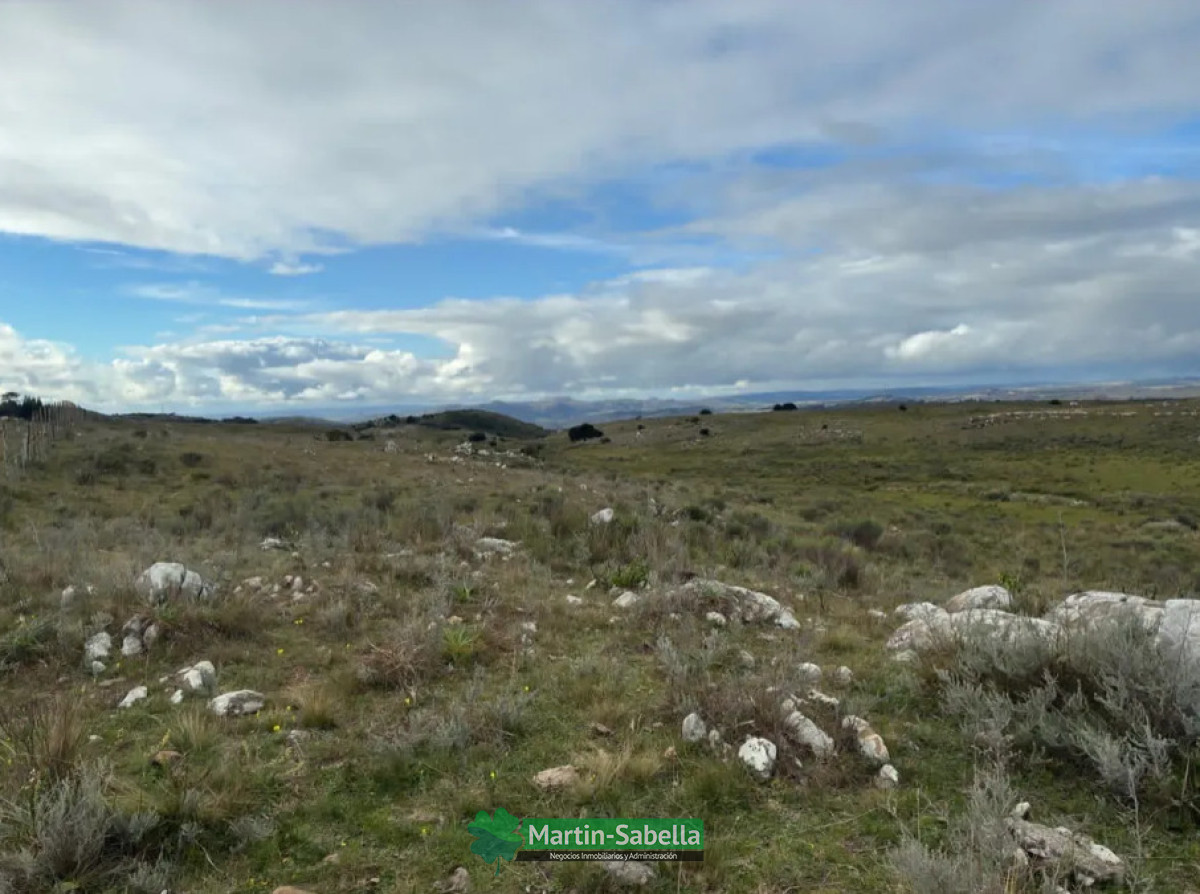 Campo Ref.512/Campo-en-Venta--Lavalleja- - Campo en Venta - Lavalleja 