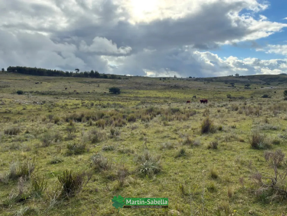 Campo Ref.513/Campo-en-Venta--Maldonado- - Campo en Venta - Maldonado 