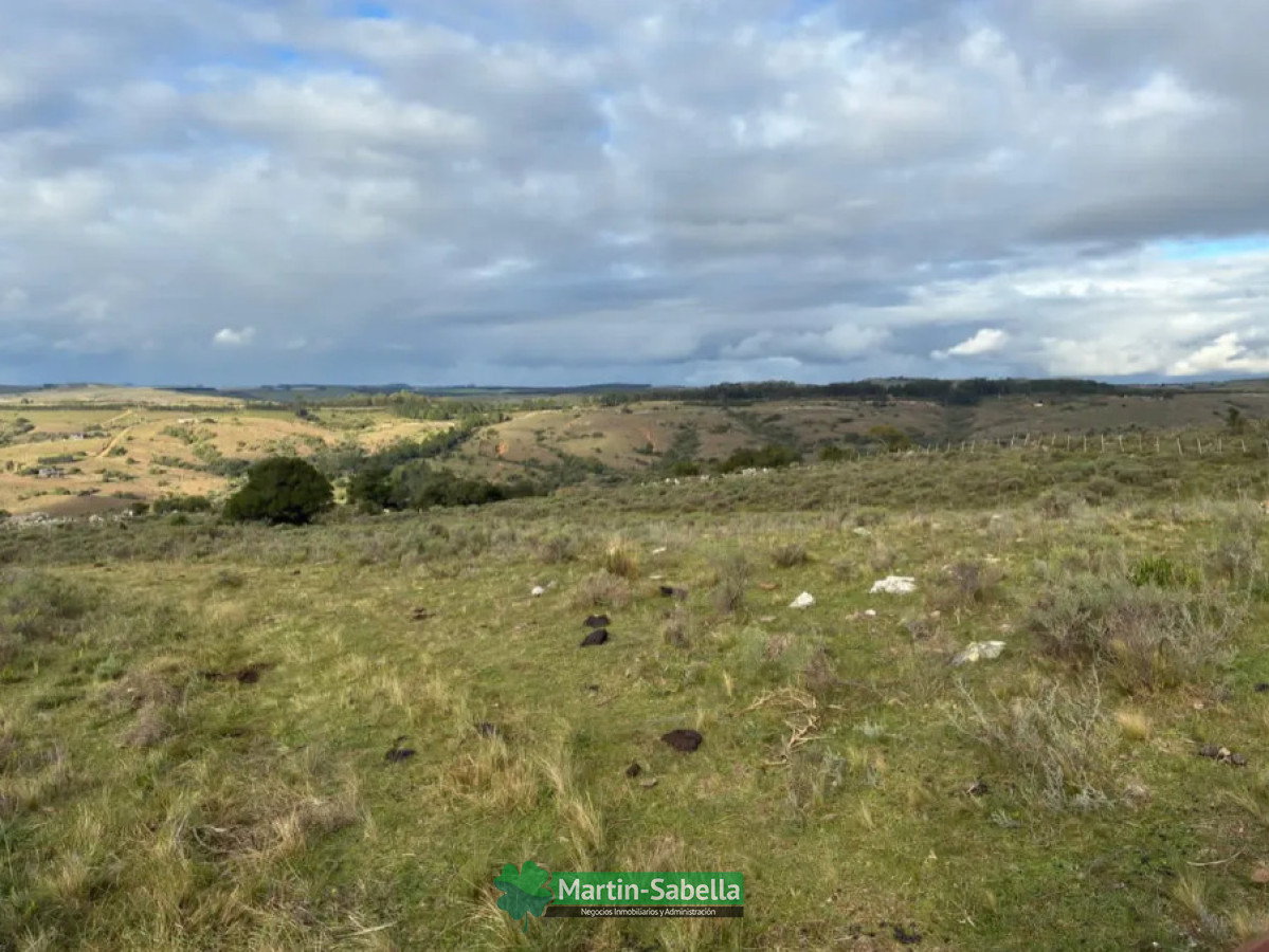Campo Ref.512/Campo-en-Venta--Lavalleja- - Campo en Venta - Lavalleja 