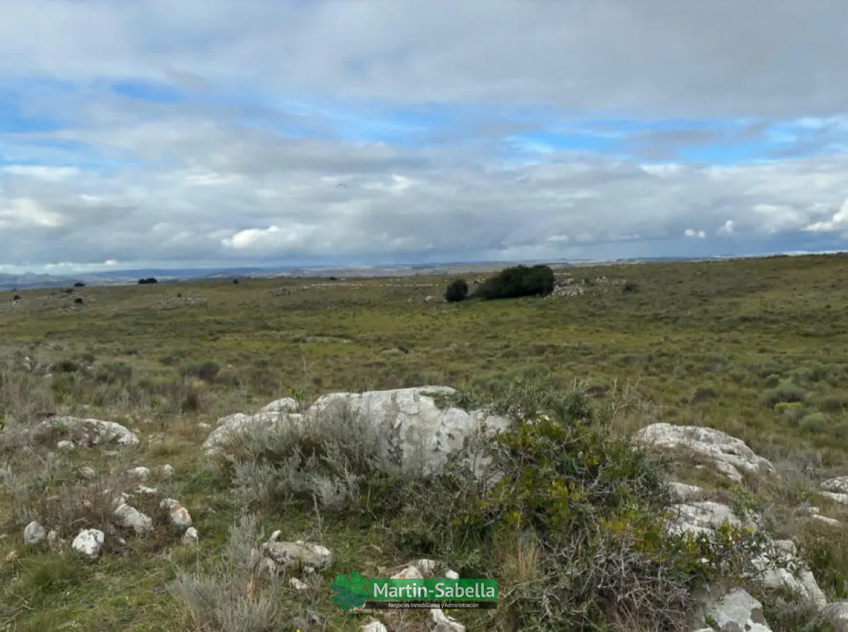 Campo Ref.513/Campo-en-Venta--Maldonado- - Campo en Venta - Maldonado 