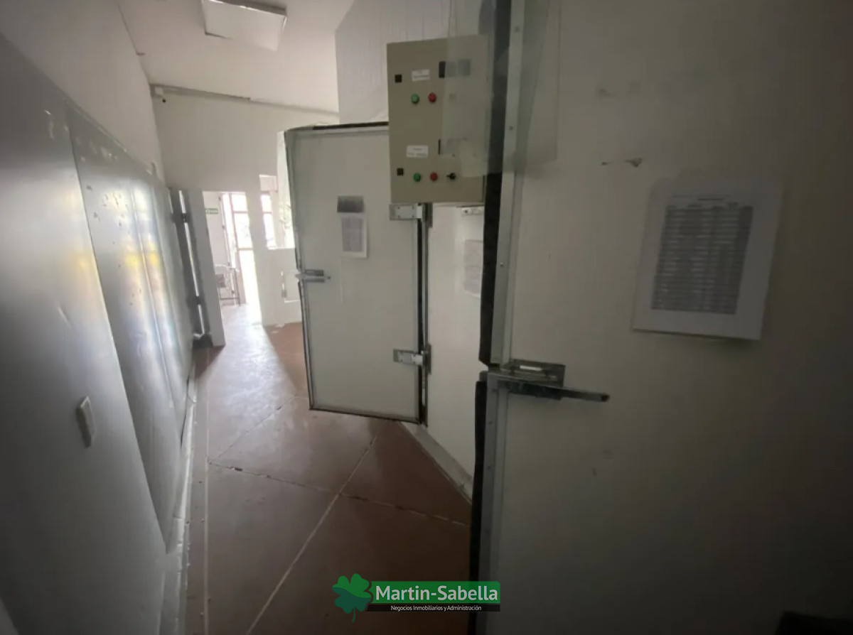 Local Comercial ID.523/Local-en-Alquiler--Brazo-Oriental- - Local en Alquiler - Brazo Oriental 