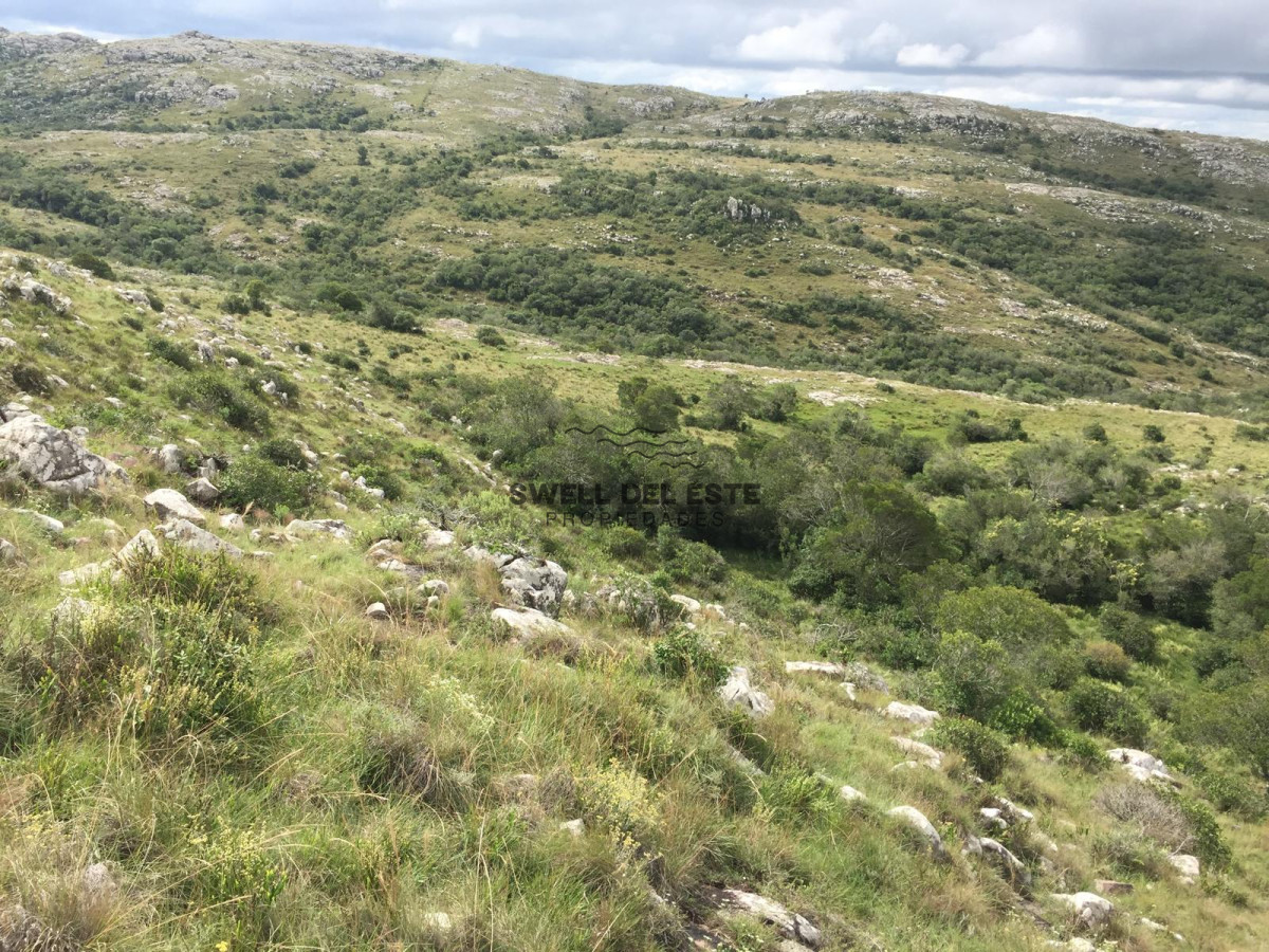 Chacra ID.247 - VENTA CHACRA 5 HAS SIERRAS CARAPE CON ARROYO