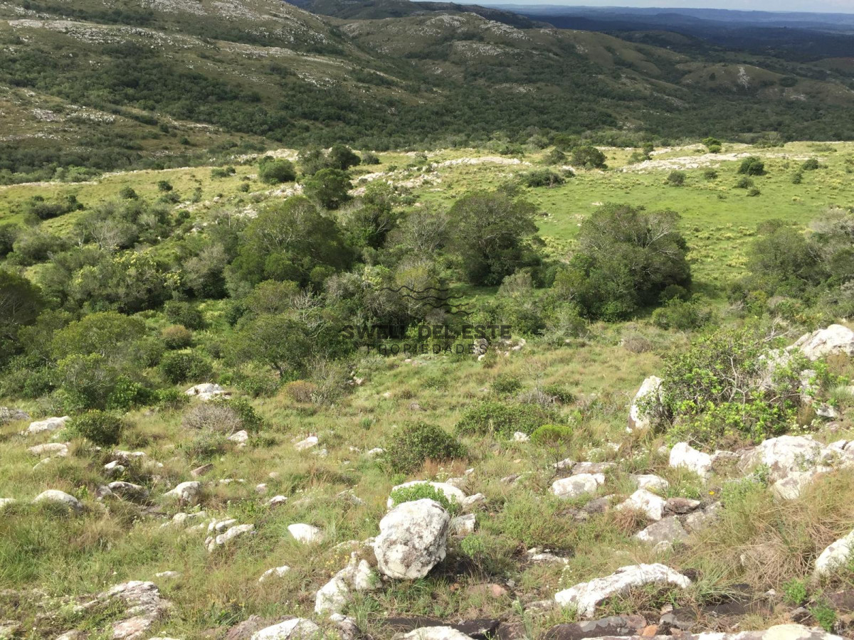 Chacra ID.247 - VENTA CHACRA 5 HAS SIERRAS CARAPE CON ARROYO