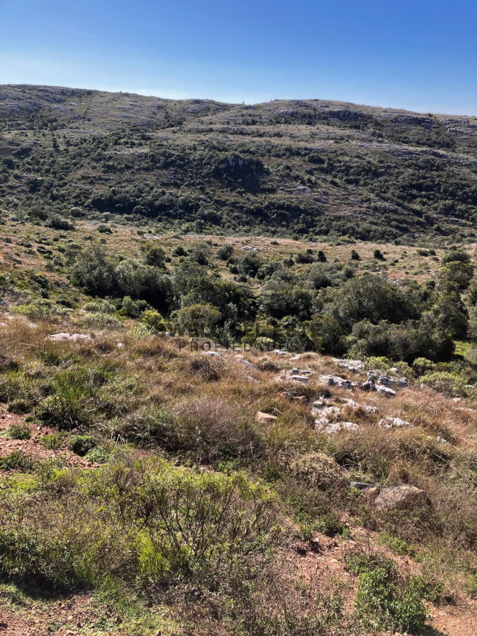 Chacra ID.247 - VENTA CHACRA 5 HAS SIERRAS CARAPE CON ARROYO