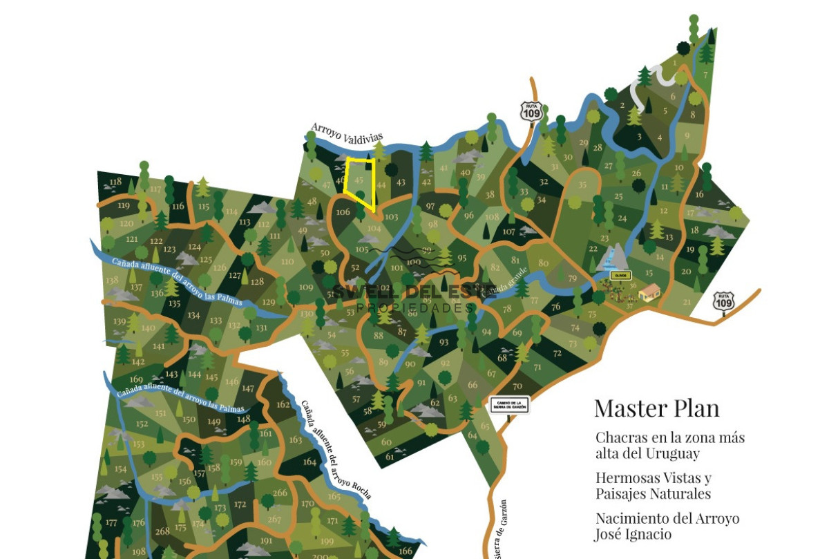 Chacra ID.247 - VENTA CHACRA 5 HAS SIERRAS CARAPE CON ARROYO