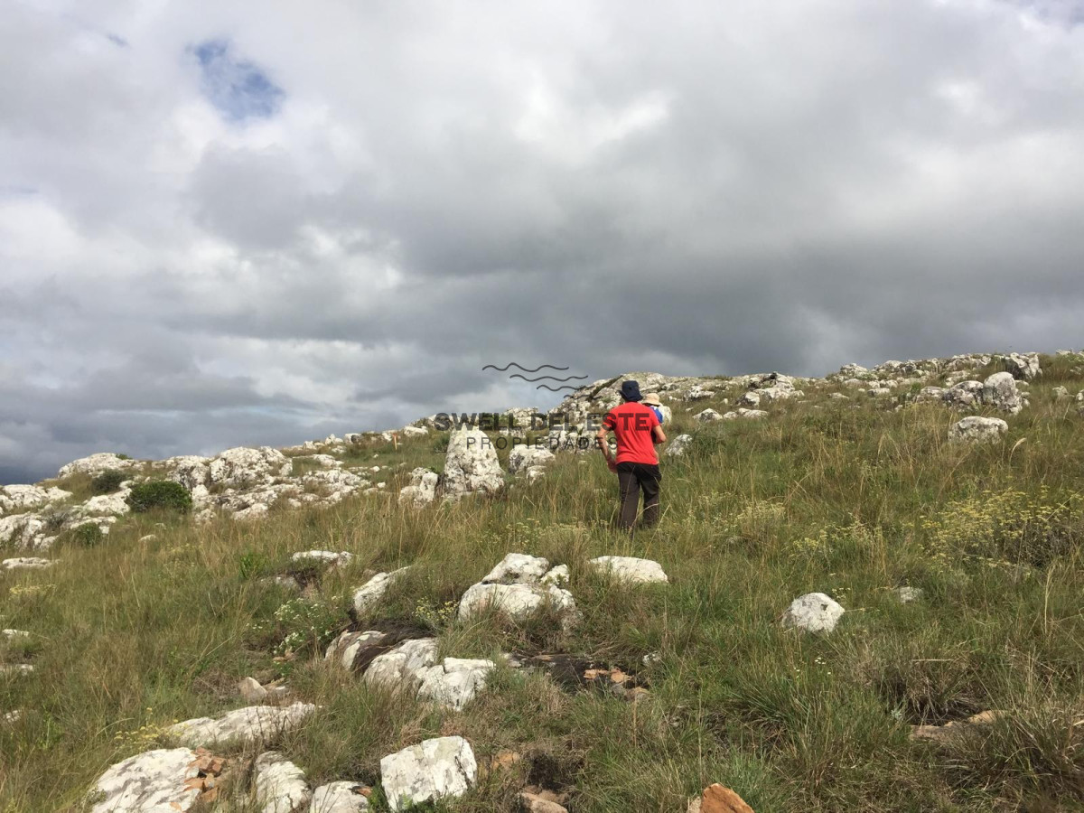 Chacra ID.247 - VENTA CHACRA 5 HAS SIERRAS CARAPE CON ARROYO