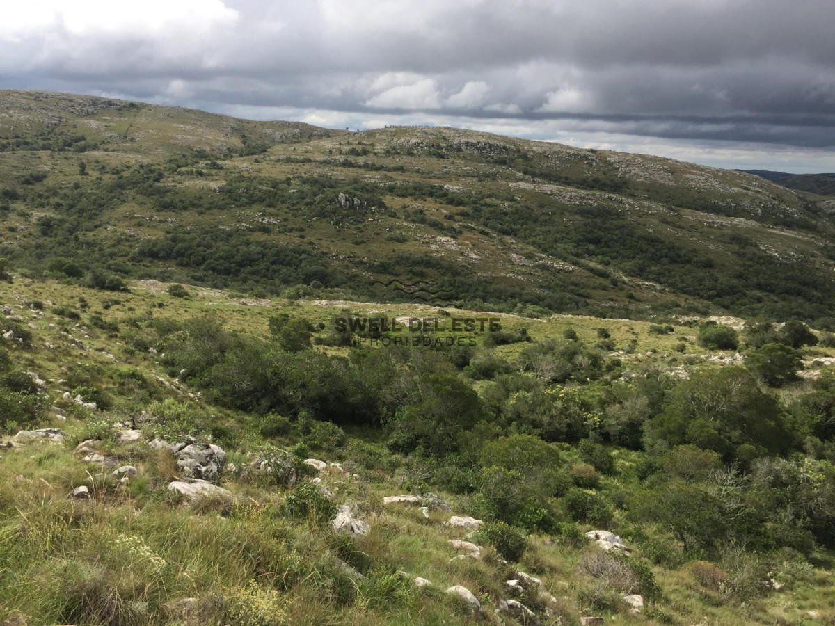 Chacra ID.247 - VENTA CHACRA 5 HAS SIERRAS CARAPE CON ARROYO