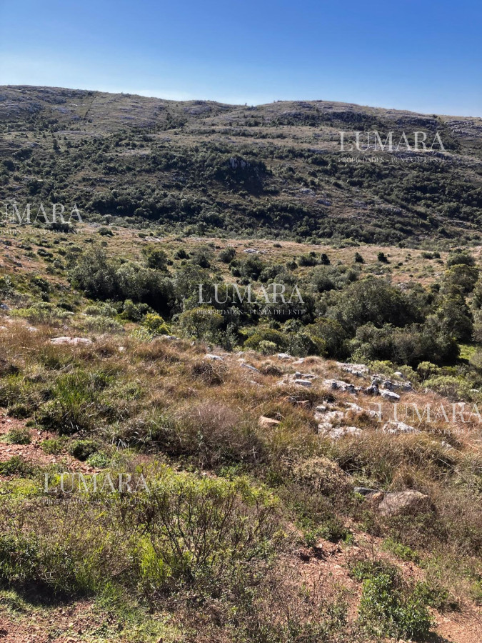 Chacra ID.3241 - VENTA CHACRA 5 HAS SIERRAS CARAPE CON ARROYO