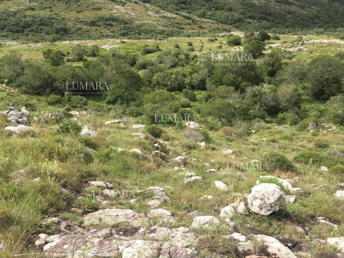 Chacra ID.3241 - VENTA CHACRA 5 HAS SIERRAS CARAPE CON ARROYO