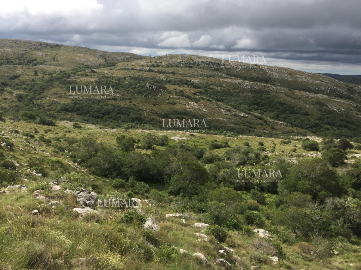 Chacra ID.3241 - VENTA CHACRA 5 HAS SIERRAS CARAPE CON ARROYO