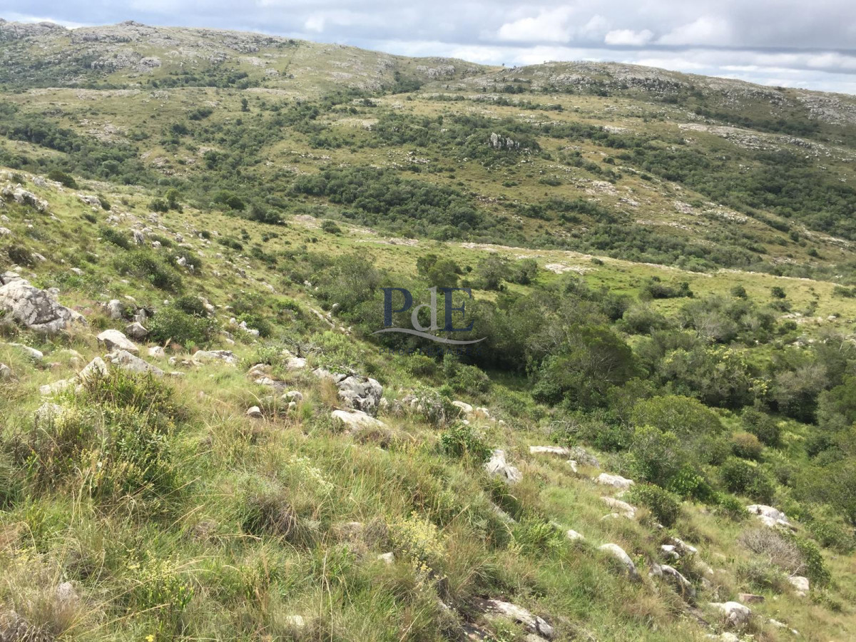 VENTA CHACRA 5 HAS SIERRAS CARAPE CON ARROYO - Imagen 2