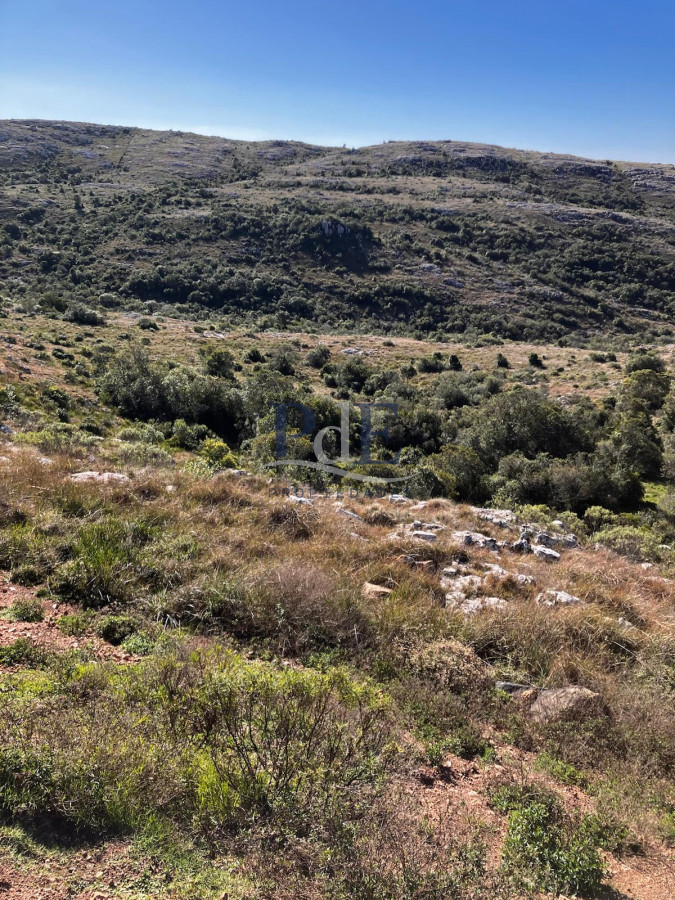 VENTA CHACRA 5 HAS SIERRAS CARAPE CON ARROYO - Imagen 14