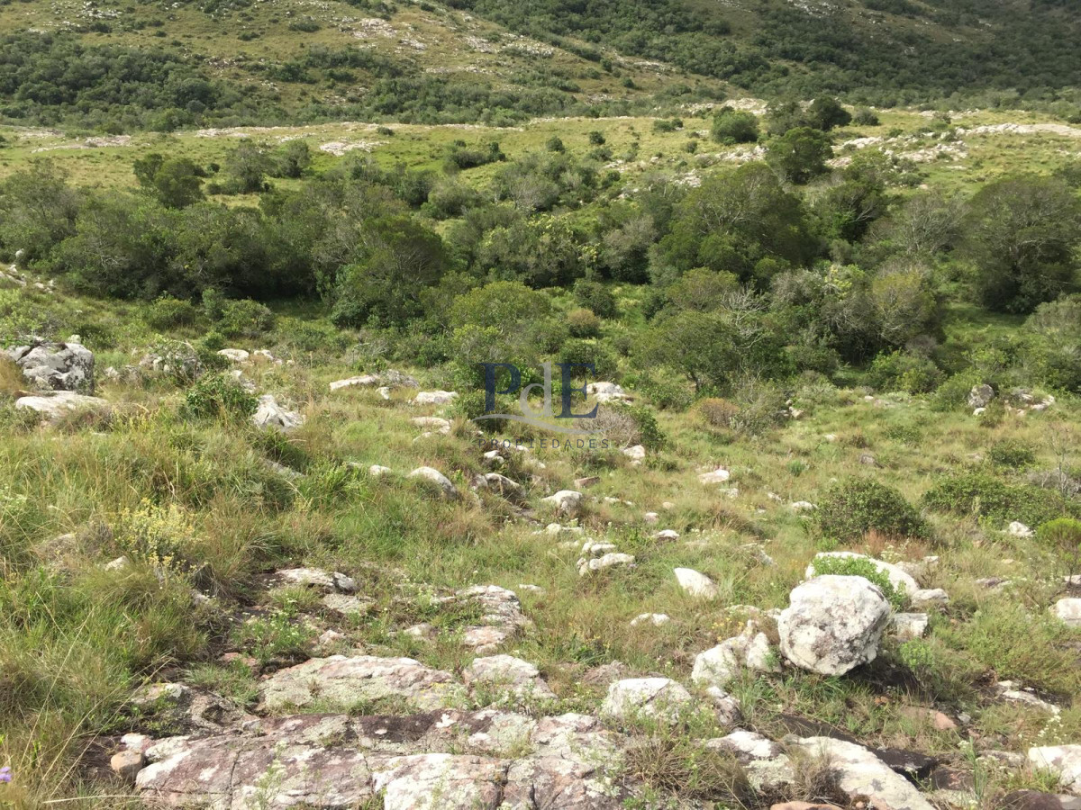 VENTA CHACRA 5 HAS SIERRAS CARAPE CON ARROYO - Imagen 10