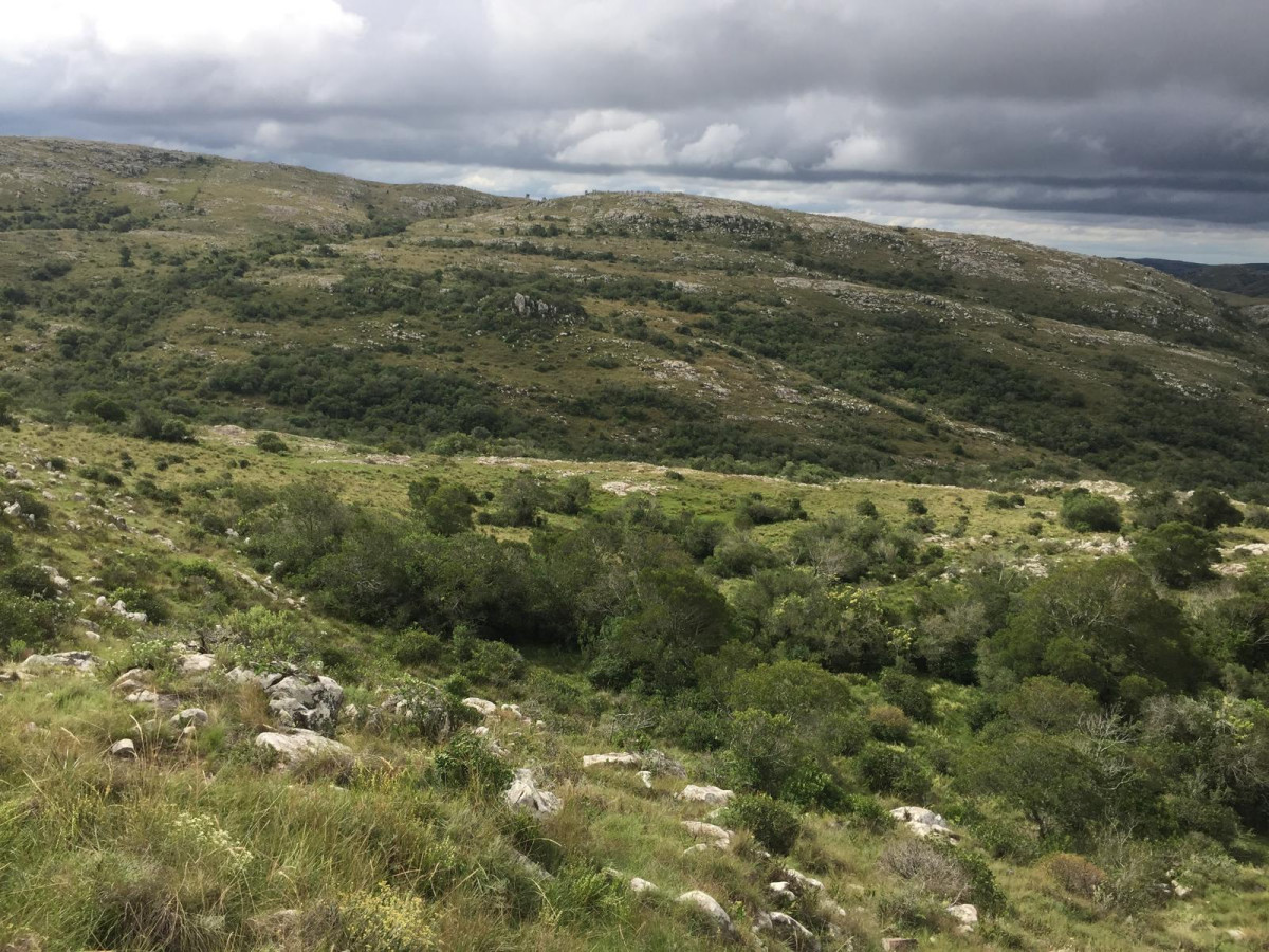 VENTA CHACRA 5 HAS SIERRAS CARAPE CON ARROYO