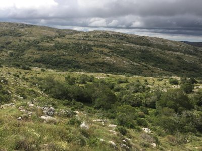Chacra en Carapé