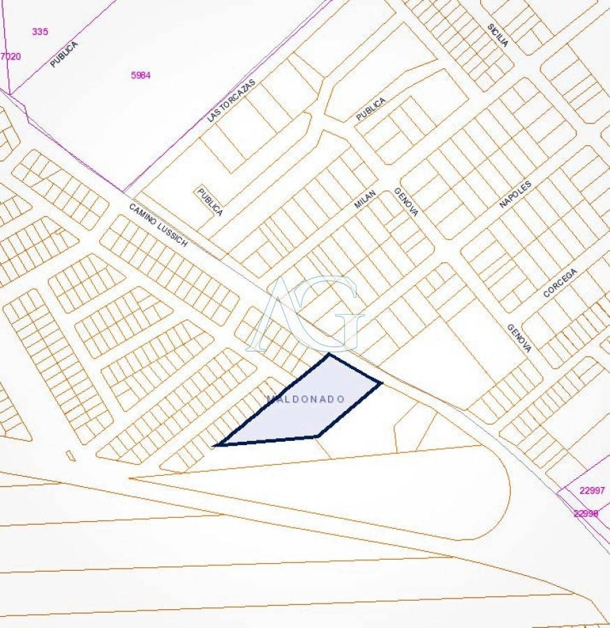 Terreno ID.764 - Venta Terreno de 10.000 m2 para fraccionar o proyecto