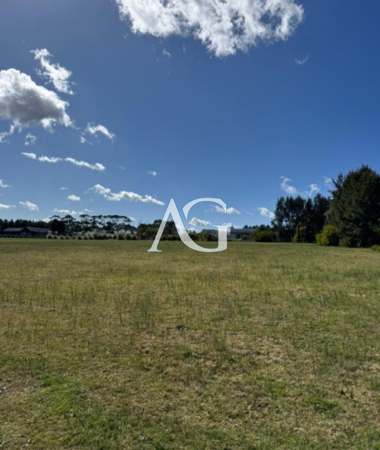 Terreno ID.341 - Lote en venta en El Quijote 5000 metros