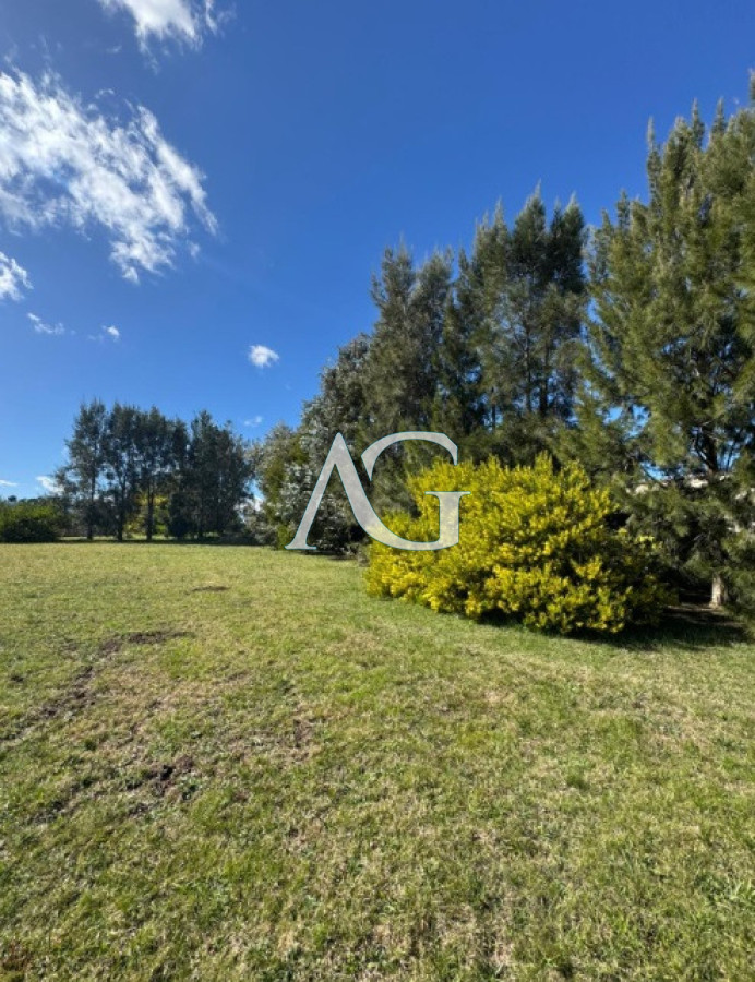 Terreno ID.341 - Lote en venta en El Quijote 5000 metros