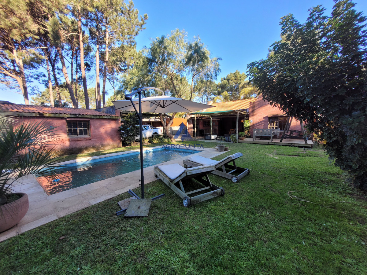 Tio Tom - GoPunta - Portal Inmobiliario de Punta del Este - Maldonado