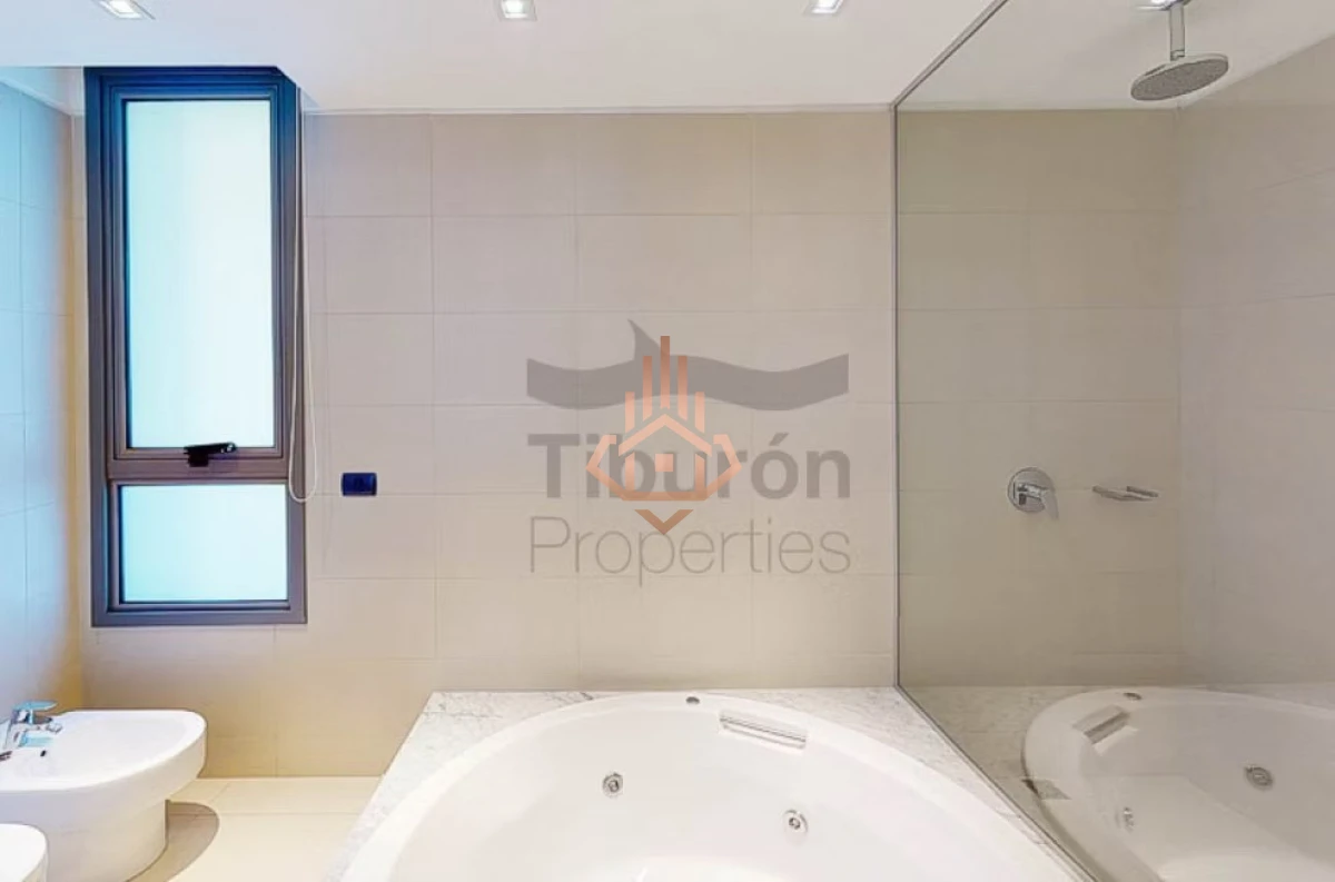 Tiburon Barra - SS 104