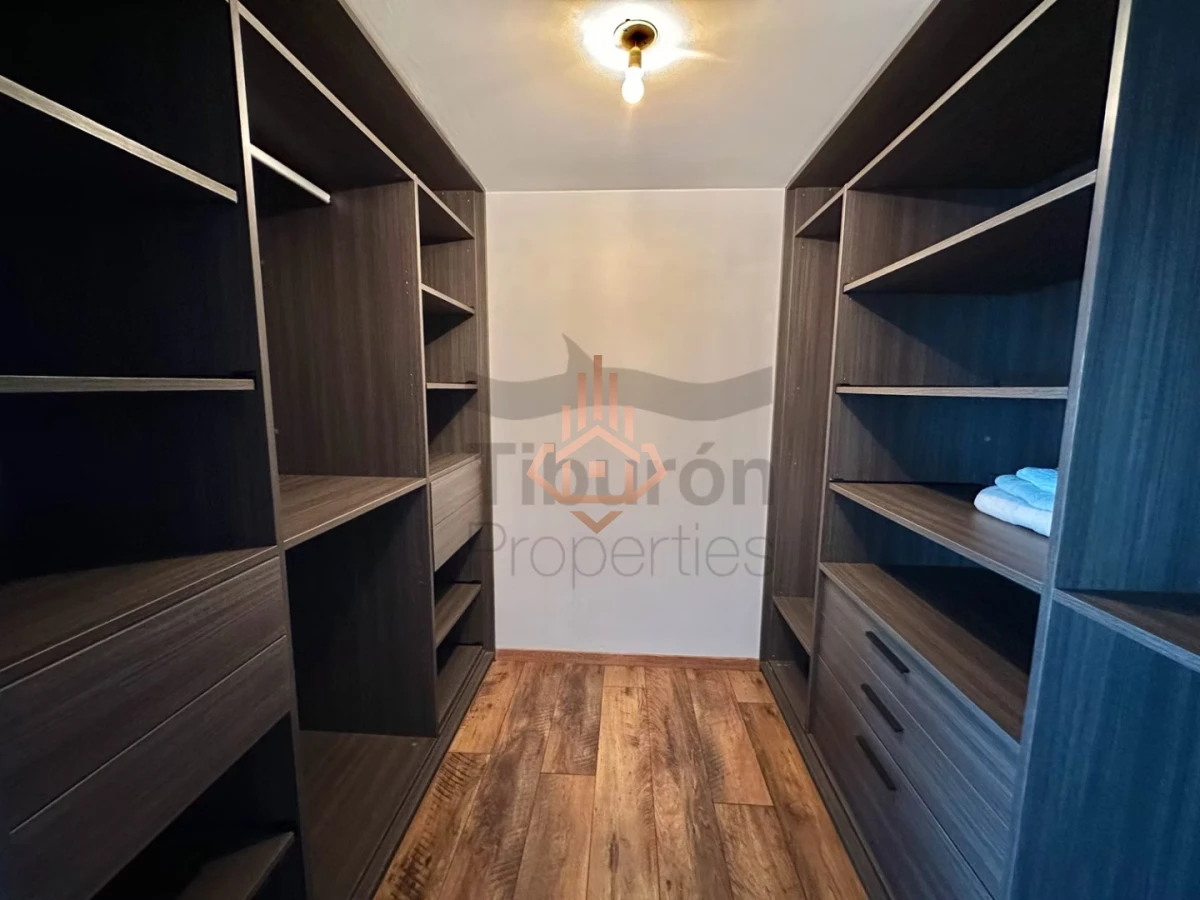 Estrella de Mar - Tip. 02