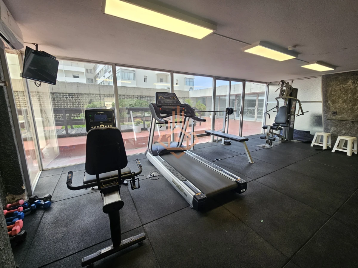 Apartamento en la Peninsula Vista al Mar