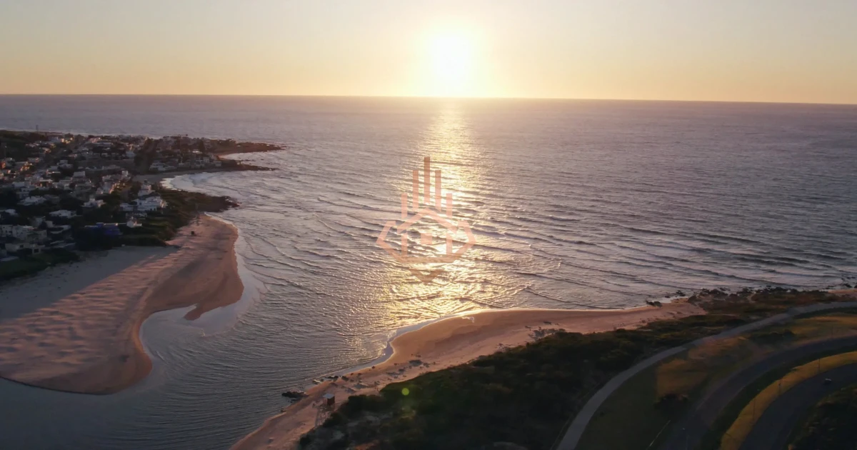 Surfside Elleva - Tipología 01