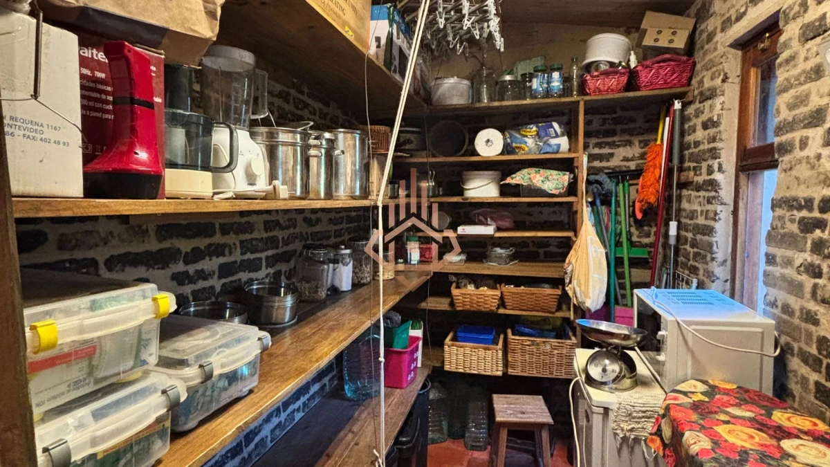 Chacra con dos casas y más de 1 hectárea en venta en Pejerrey – Ideal para vivir o disfrutar en familia