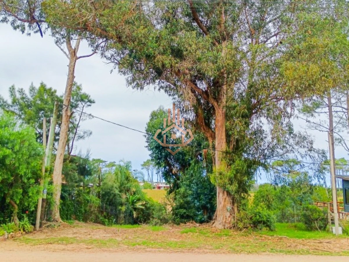 Hermosa casa próxima al mar en Ocean Park