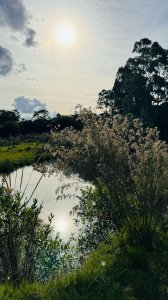 chacra el rinconcito - lux522h