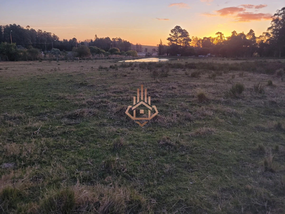 Venta de chacra sobre Ruta 9 - excelente ubicación y muy buen índice CONEAT