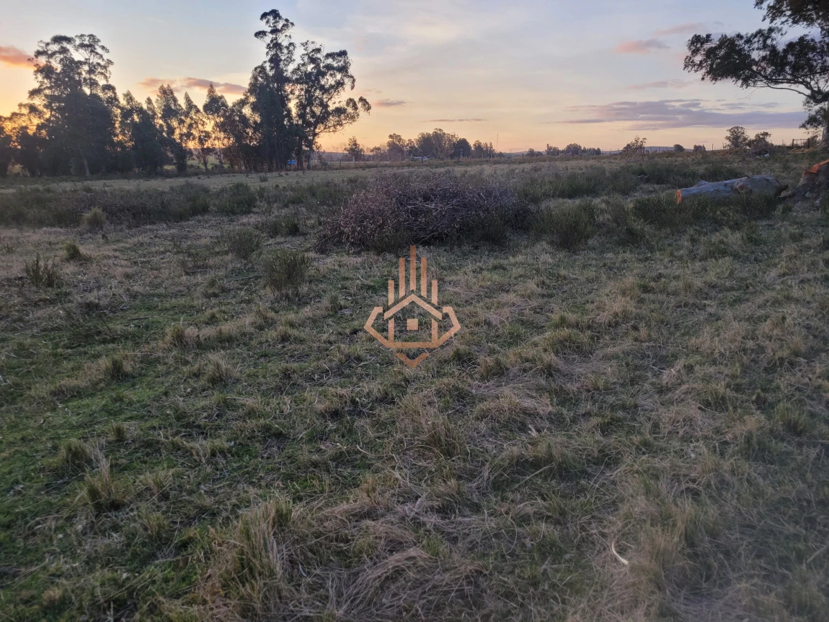 Venta de chacra sobre Ruta 9 - excelente ubicación y muy buen índice CONEAT