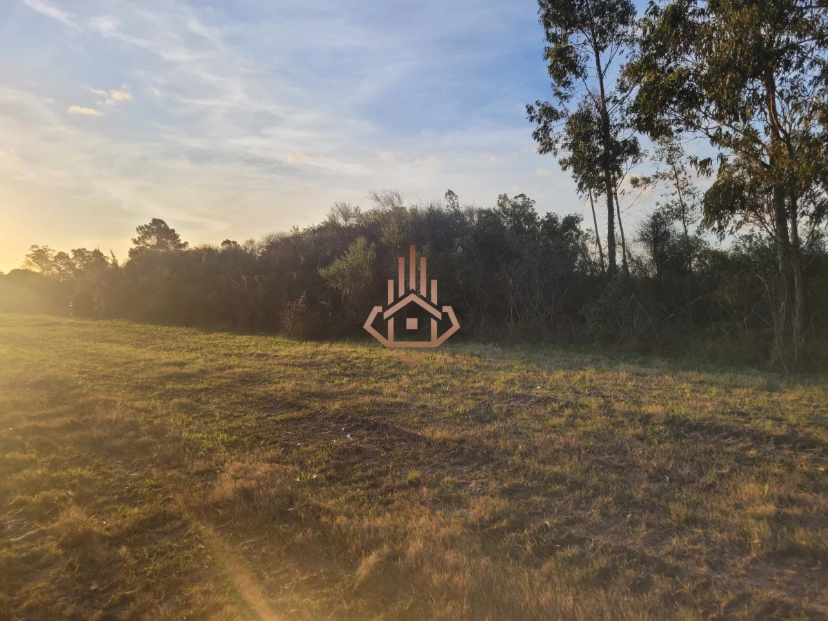 Venta de chacra sobre Ruta 9 - excelente ubicación y muy buen índice CONEAT