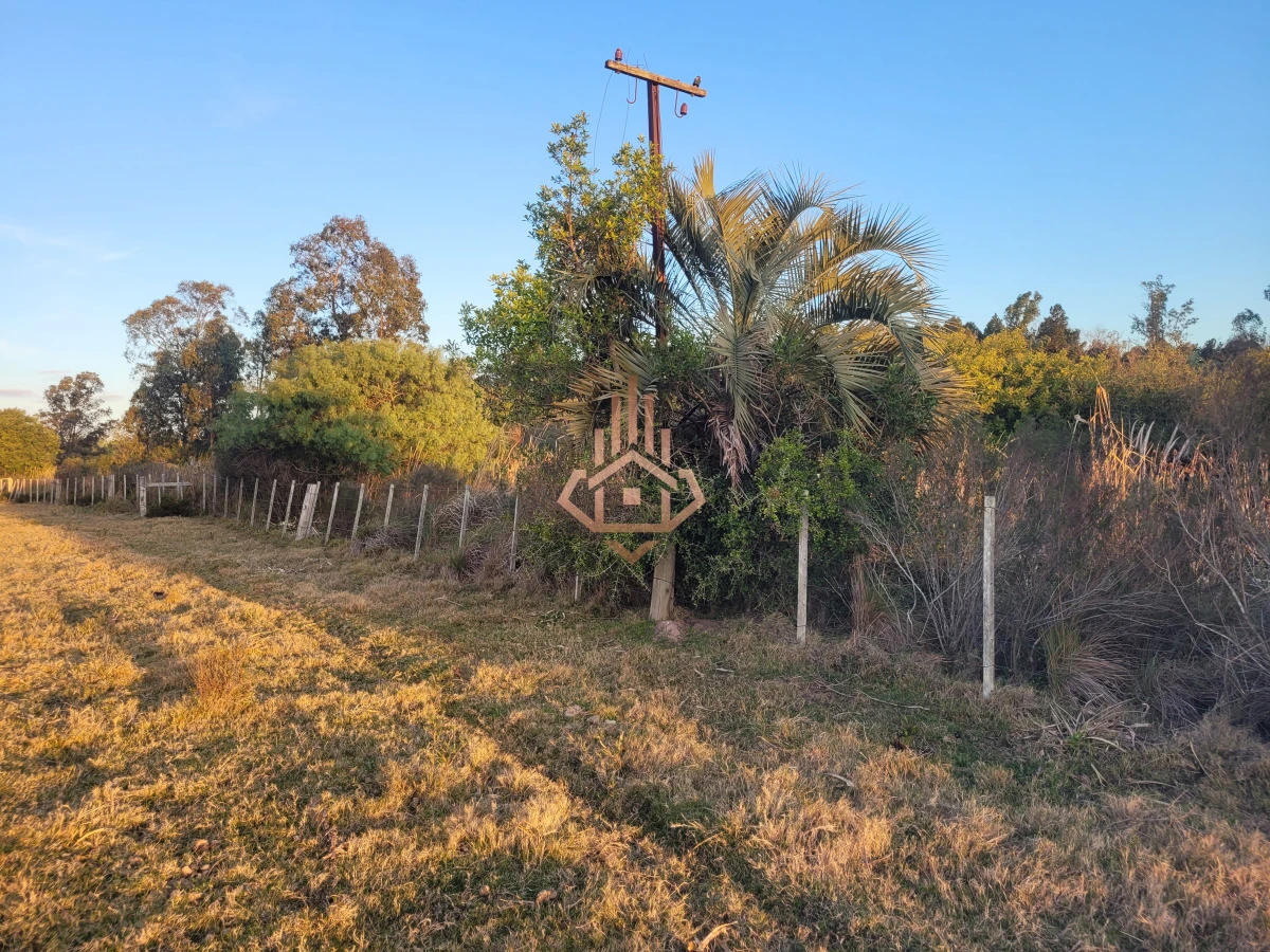 Venta de chacra sobre Ruta 9 - excelente ubicación y muy buen índice CONEAT