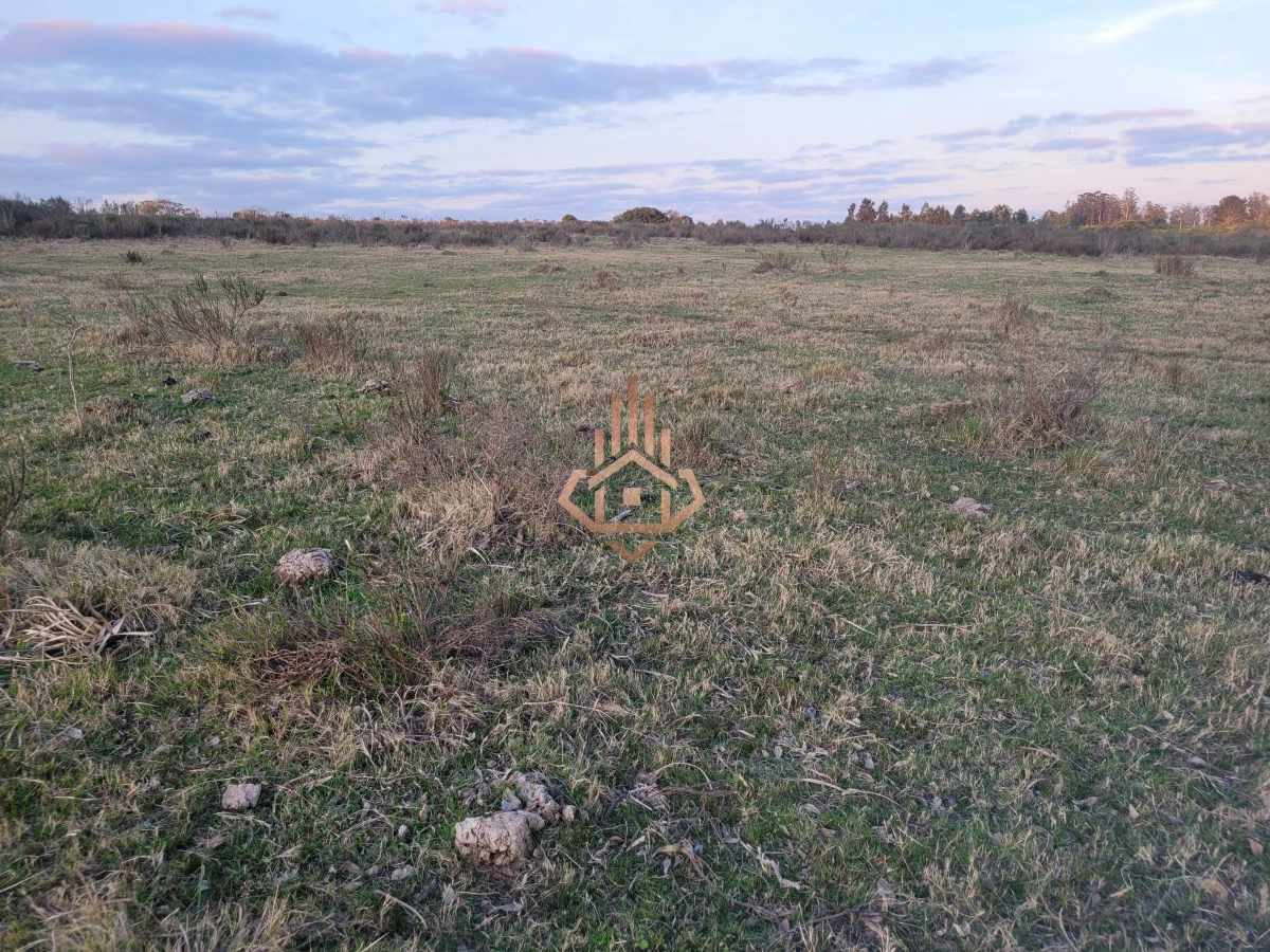 Venta de chacra sobre Ruta 9 - excelente ubicación y muy buen índice CONEAT