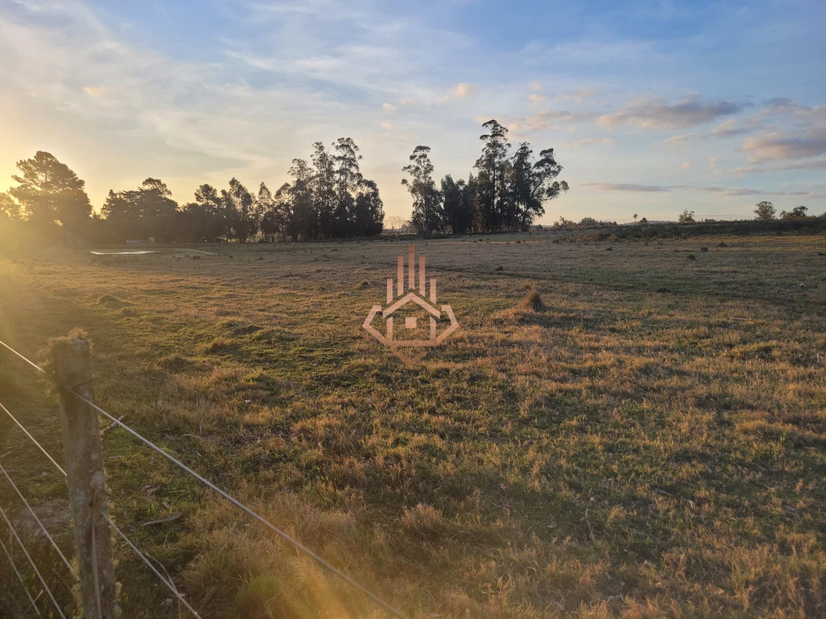 Venta de chacra sobre Ruta 9 - excelente ubicación y muy buen índice CONEAT