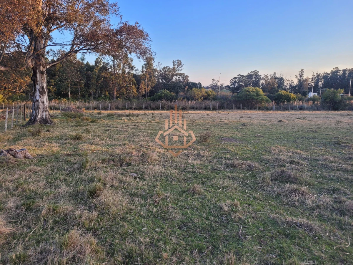 Venta de chacra sobre Ruta 9 - excelente ubicación y muy buen índice CONEAT