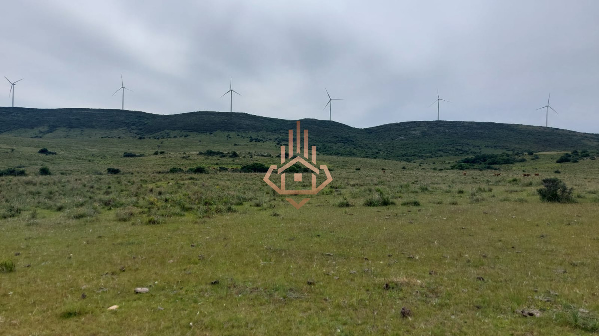 Chacras de más de 5 hectáreas en venta Sierra de los Caracoles - LUX649H