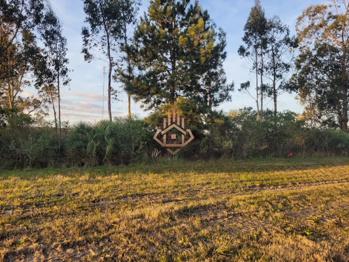 Venta de chacra sobre Ruta 9 - excelente ubicación y muy buen índice CONEAT